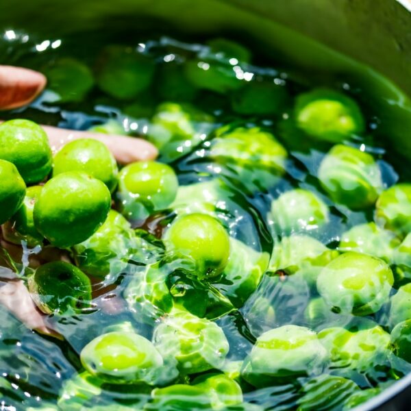 梅酢を飲むと得られる７つのメリット｜美味しく飲むためのコツも解説