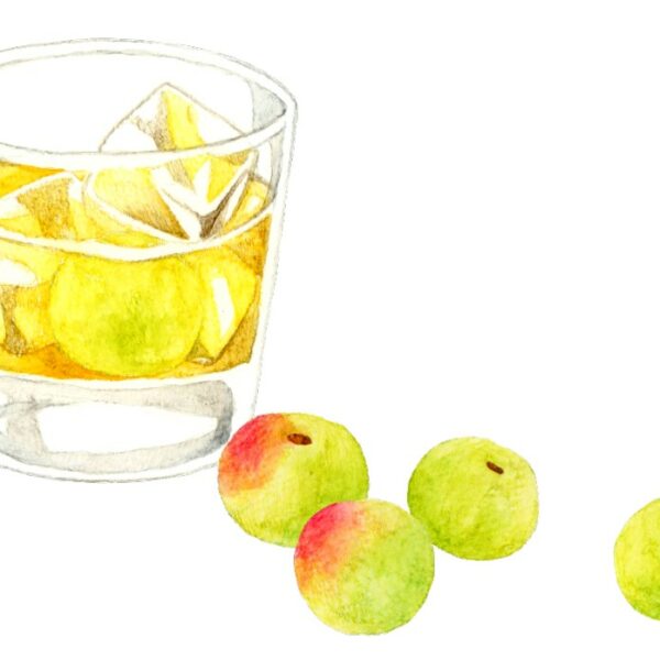 【老舗梅干し屋監修＆執筆】梅酒レシピ！色々なお酒であなた好みの梅酒を作ろう