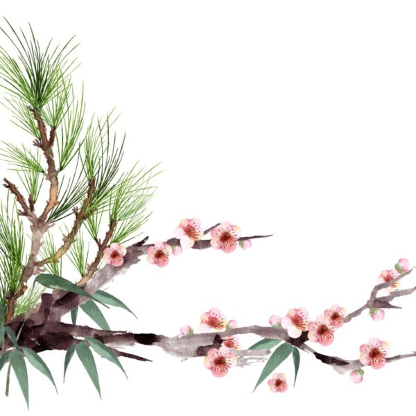 梅の花言葉やことわざ、どのぐらい知ってる？花の種類や色別梅の花言葉をご紹介！
