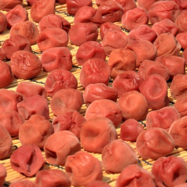 おいしい梅干し作りたいなら上手に「干す」べし。ざるがなくても大丈夫！ 梅干しがおいしくなる干し方をご紹介