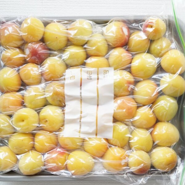 冷凍梅はアリどころか正解!「冷凍梅」が忙しいあなたの梅仕事を劇的にラクにする理由