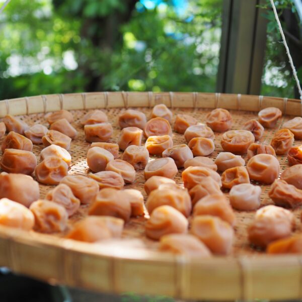 梅干しの干し方をマスターしよう！簡単な作り方や注意点を解説