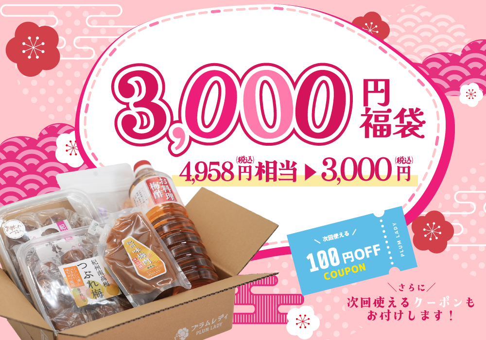 3000円福袋 セット内容イメージ