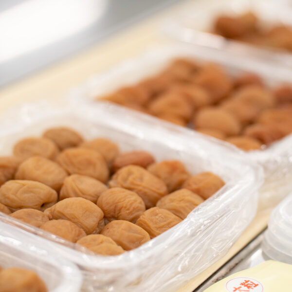 梅干しの保存方法は？冷蔵庫保存は腐るって本当？保存に適した入れ物を紹介