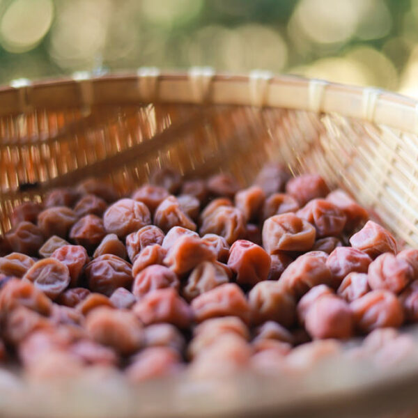 梅干しの食べ過ぎは大丈夫？塩分が多い？1日何個まで食べられるのかや健康のリスクを梅干し農家が徹底解説