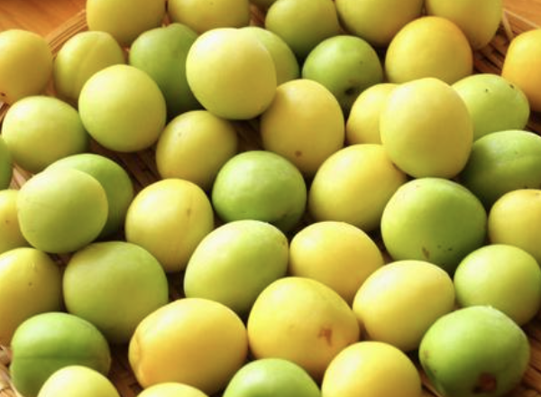 青梅とは?効果・効能やおすすめのレシピ、使うときの注意点を紹介!