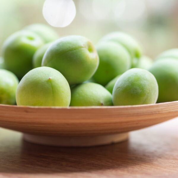 梅エキスの飲み方のおすすめは？飲むタイミングや飲み方について梅エキス生産者が徹底解説