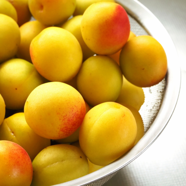 完熟梅の美味しい食べ方を紹介！使う際のポイントや保存方法も解説