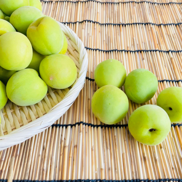 青梅の適切な時期とは？収穫時期からスーパーに並ぶ時期まで解説