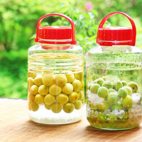 梅エキスは腹痛緩和に効果あり！おすすめの食べ方・タイミングも紹介