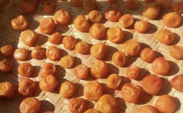 梅仕事初心者におすすめの簡単レシピ4選！押さえておきたいポイントも解説