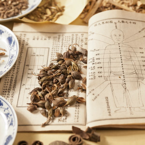 「心が整う一粒」梅干しで自律神経をメンテナンス。メンタルケアに効く驚きの栄養成分とは？