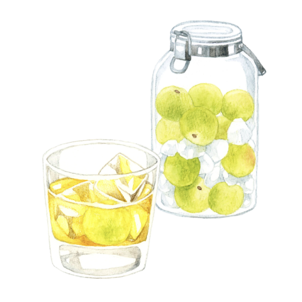 梅ジュースのデメリットを完全攻略！砂糖控えめでも失敗しない「極上・梅ジュース」育成術