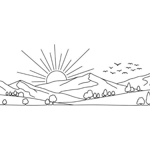 【初心者必見】梅干しの干し方ガイド｜ベランダ・室内でのコツと3日間の工程を解説