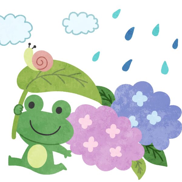 梅雨はいつからいつまで？地域別の例年の目安と「梅に雨」と書く意外な由来