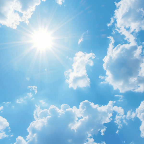 梅干しを干す季節はいつが正解？夏の土用干しを逃して秋になっても大丈夫な理由と失敗しないコツ